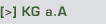 KG aA